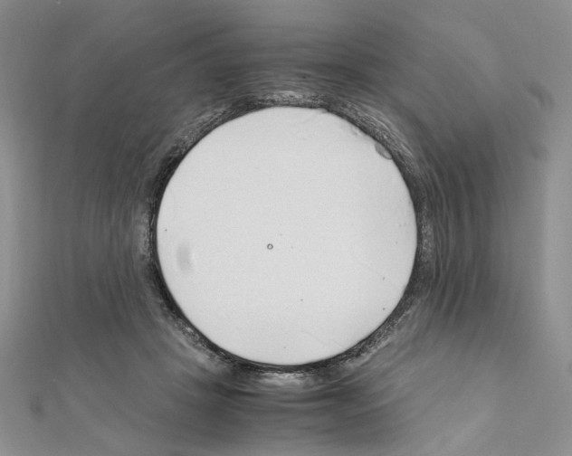 X0000110930457200907301627