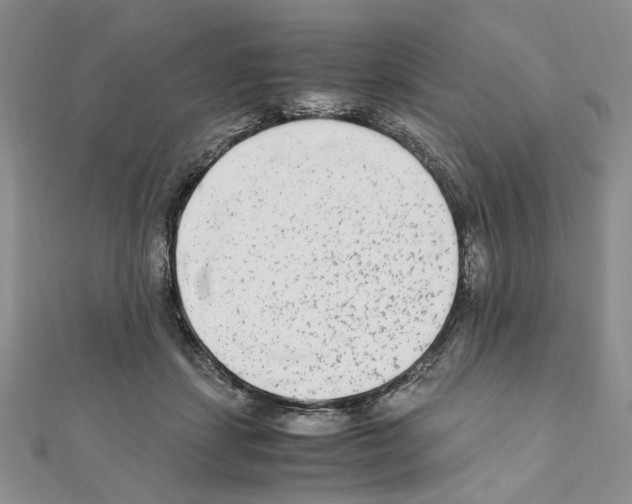 X0000110930459200907301627