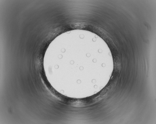 X0000110930460200907301627