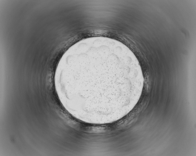 X0000110930462200907301627