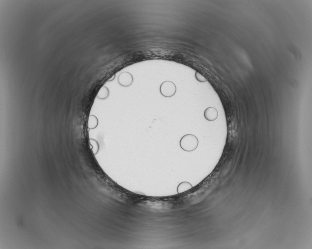 X0000110930464200907301627