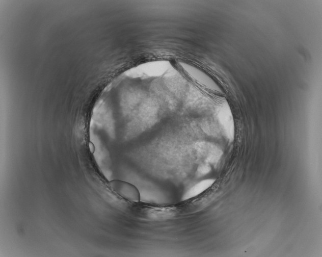 X0000110930465200907301627