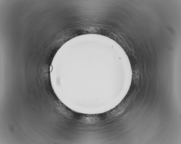 X0000110930466200907301627