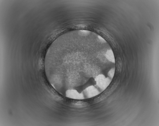 X0000110930467200907301627