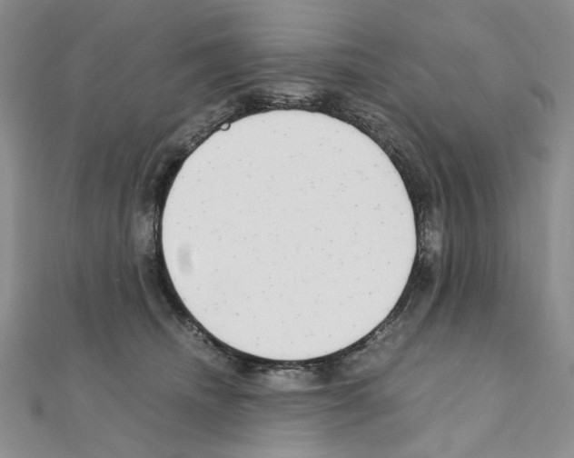 X0000110930468200907301627