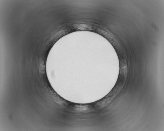 X0000110930469200907301627