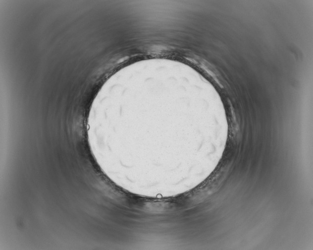 X0000110930470200907301627