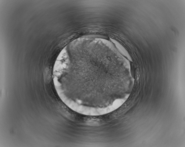 X0000110930471200907301627