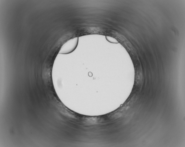 X0000110930473200907301627