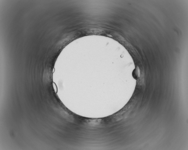 X0000110930474200907301627