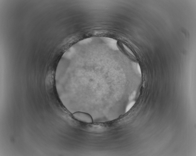 X0000110930475200907301627