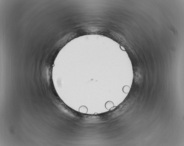X0000110930476200907301627