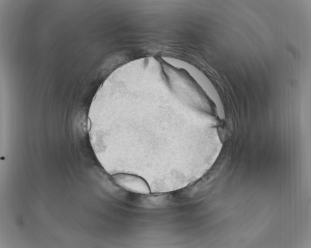 X0000110930479200907301627