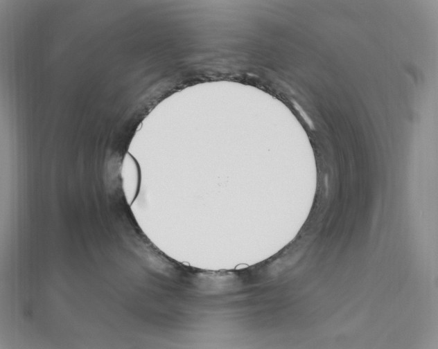 X0000110930480200907301627