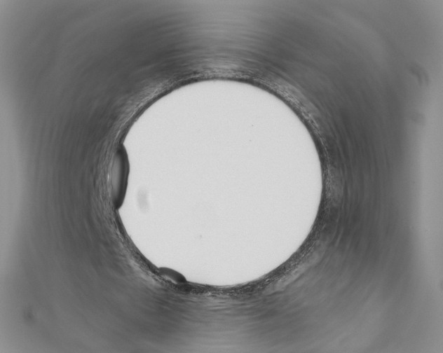 X0000110930481200907301627