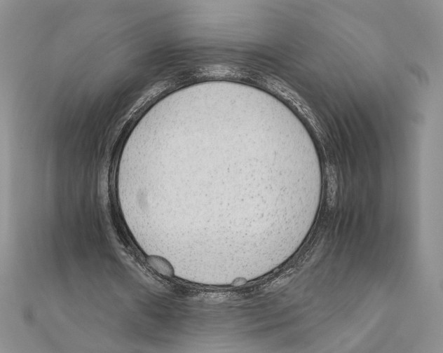 X0000110930482200907301627