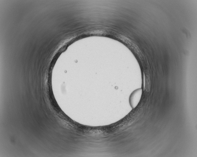 X0000110930483200907301627
