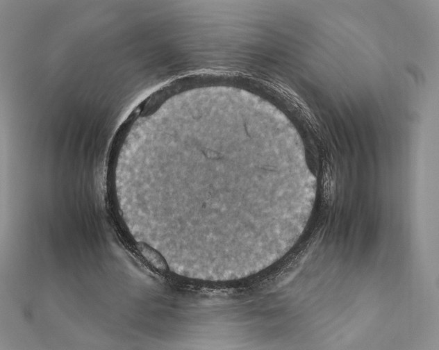 X0000110930484200907301627
