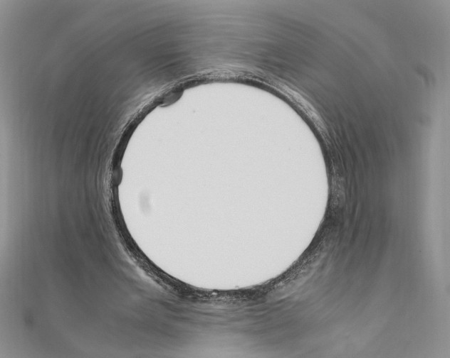 X0000110930485200907301627