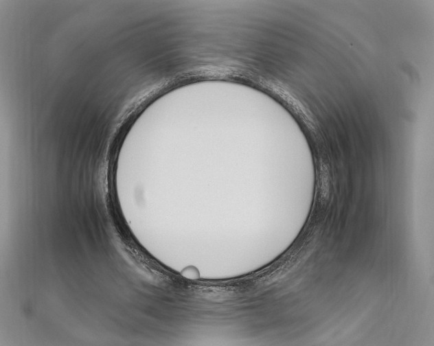 X0000110930486200907301627