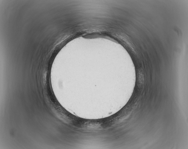 X0000110930491200907301627