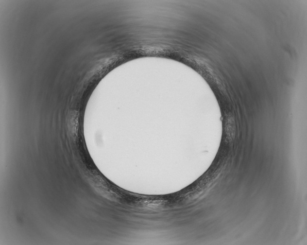 X0000110930495200907301626