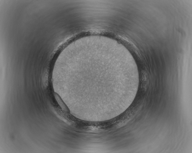 X0000110930496200907301626