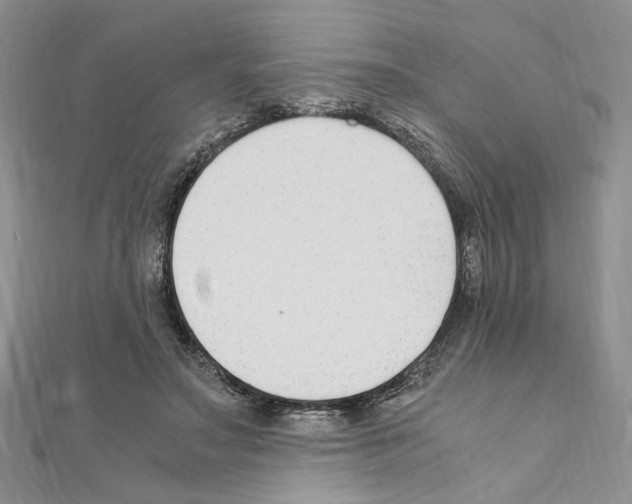 X0000110930499200907301626