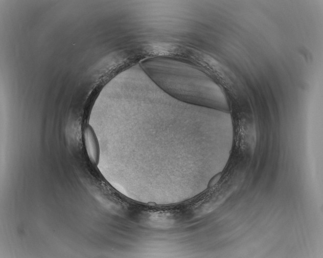 X0000110930500200907301626