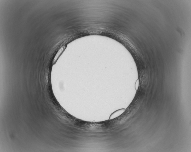 X0000110930501200907301626