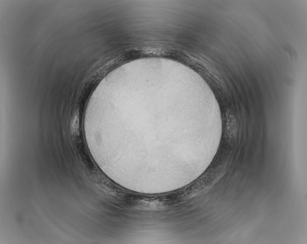 X0000110930502200907301626