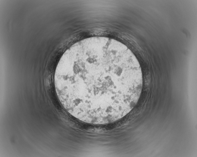 X0000110930503200907301626