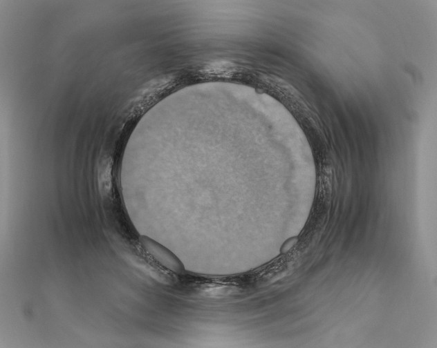 X0000110930504200907301626