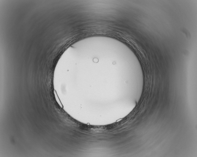 X0000110930505200907301626