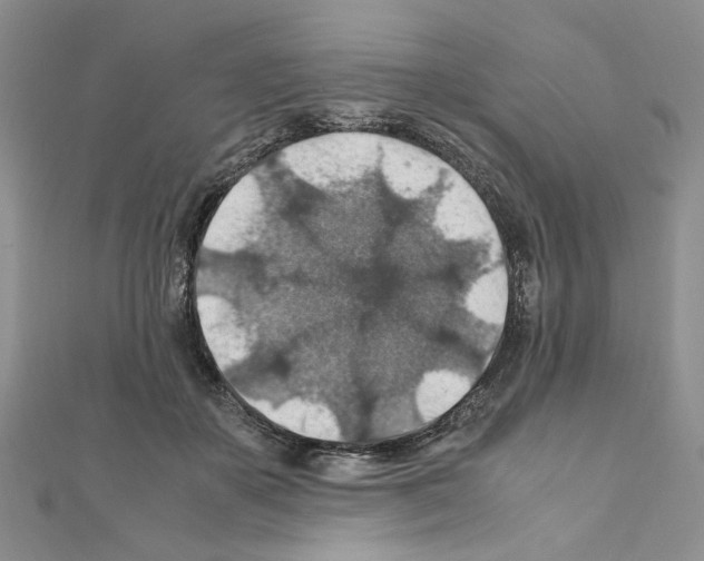 X0000110930507200907301626