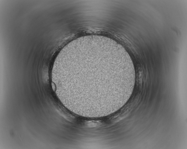 X0000110930508200907301626