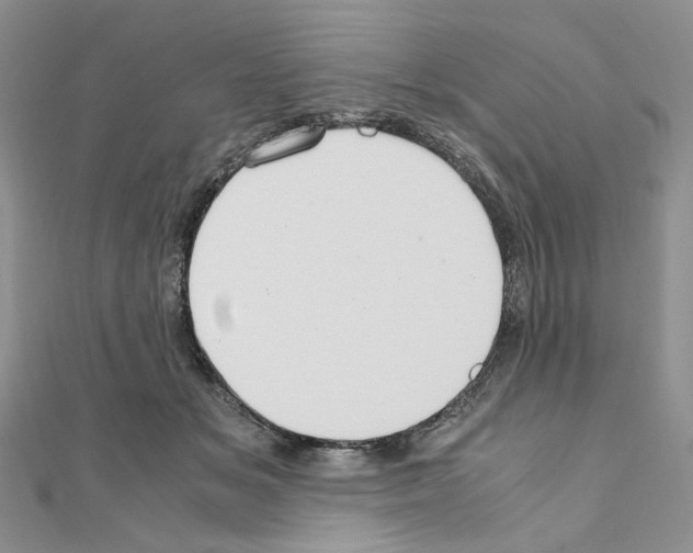 X0000110930509200907301626