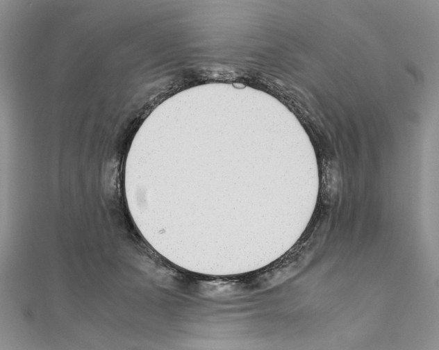 X0000110930511200907301626