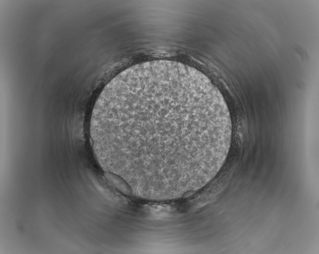 X0000110930512200907301626