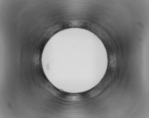 X0000110930514200907301626