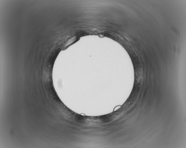 X0000110930515200907301626