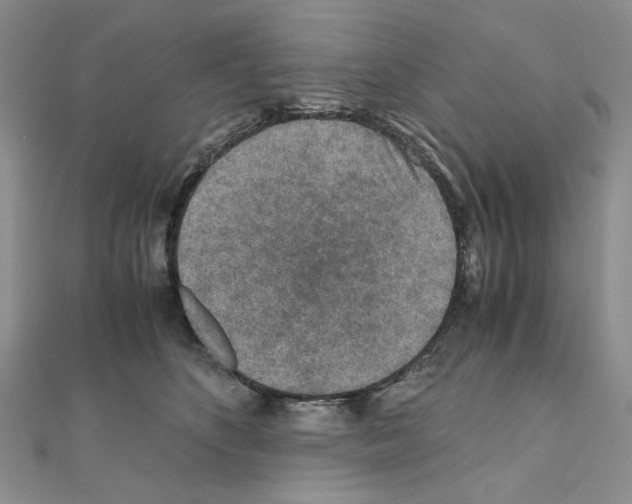 X0000110930516200907301626
