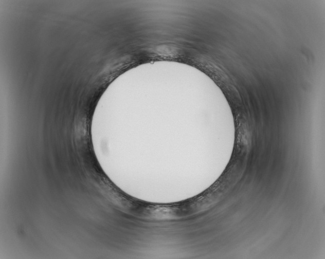 X0000110930518200907301626