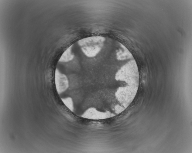 X0000110930519200907301626