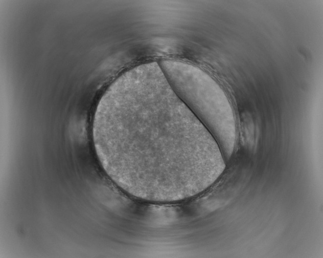 X0000110930520200907301626
