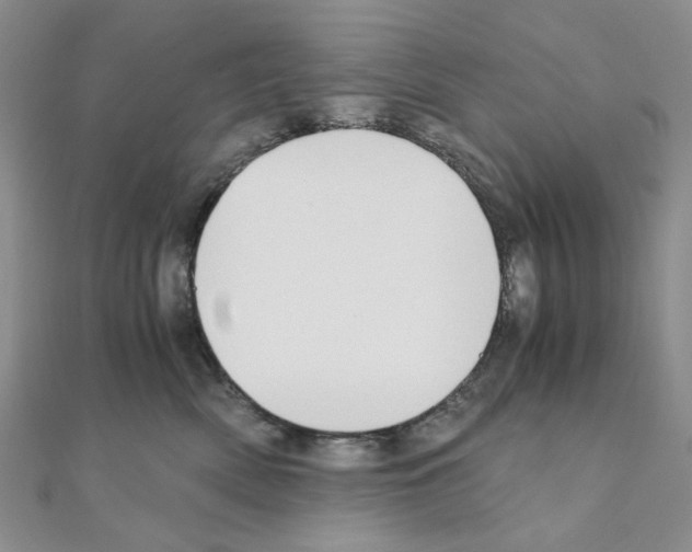 X0000110930522200907301626