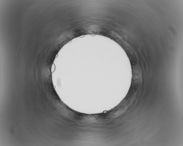 X0000110930523200907301626
