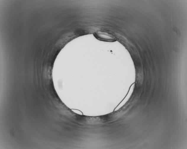 X0000110930525200907301626