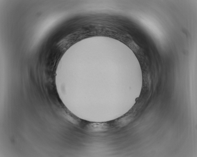 X0000110930526200907301626