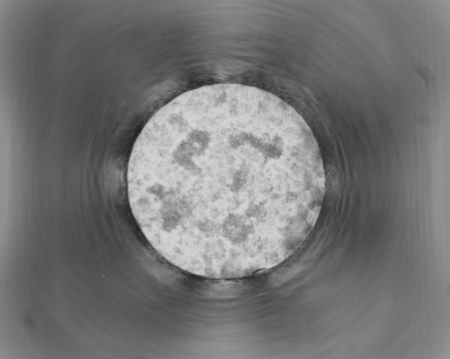 X0000110930527200907301626